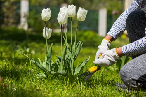 Gardeners Cricklewood improving a front garden in North West London