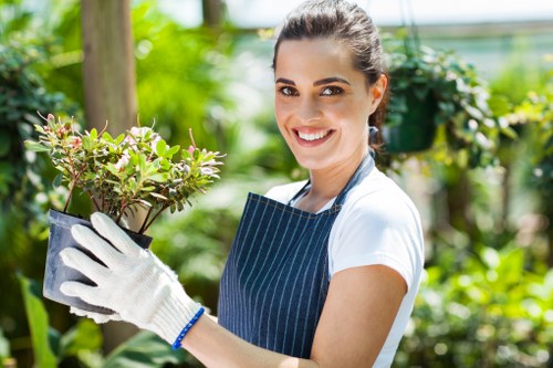 Cricklewood garden care for small urban outdoor spaces and tidy planting