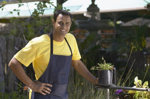 Professional hedge and lawn upkeep in a Cricklewood outdoor space