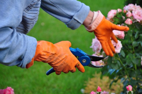 Escalation stage in a gardening complaints process