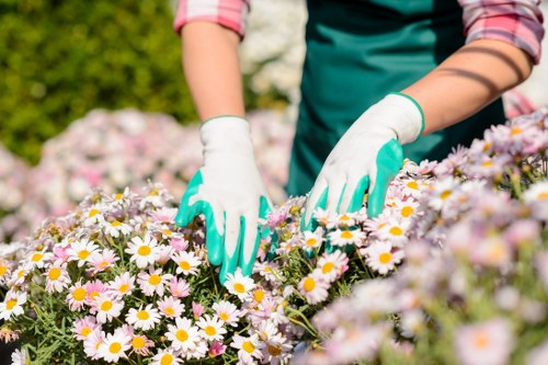 Garden maintenance team preparing for a scheduled service visit