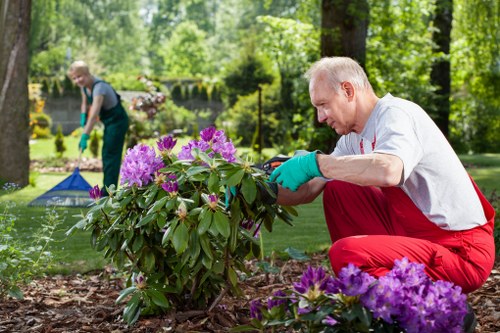 Tidy and healthy garden maintained by local Cricklewood gardeners