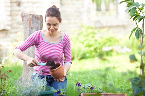 Seasonal garden maintenance work by Cricklewood gardeners