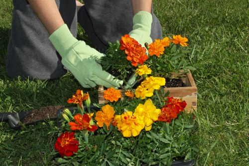 Garden maintenance work in a Cricklewood residential garden