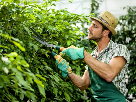 Professional lawn mowing service in Cricklewood