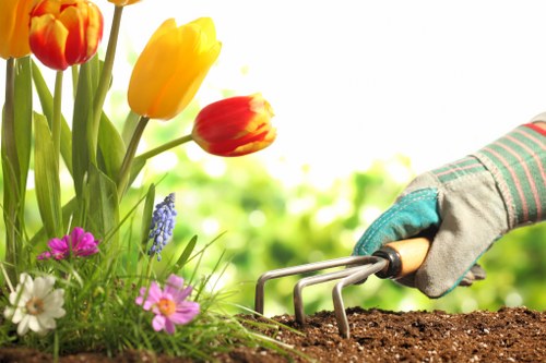 Low-carbon van used for sustainable gardening collections in Cricklewood