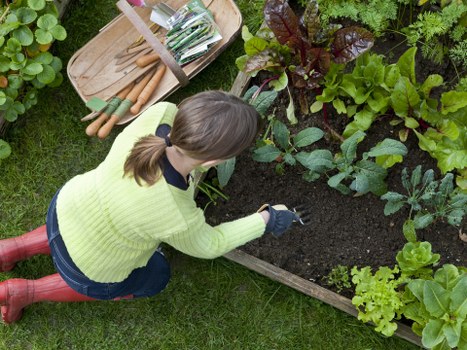 Hard landscaping features in a Cricklewood garden