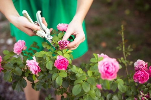 Free quote assessment for a garden in Cricklewood