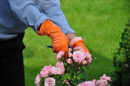 Cricklewood garden maintenance with pruning, mowing, and border care