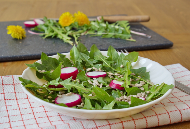 hedge trimming landscape design