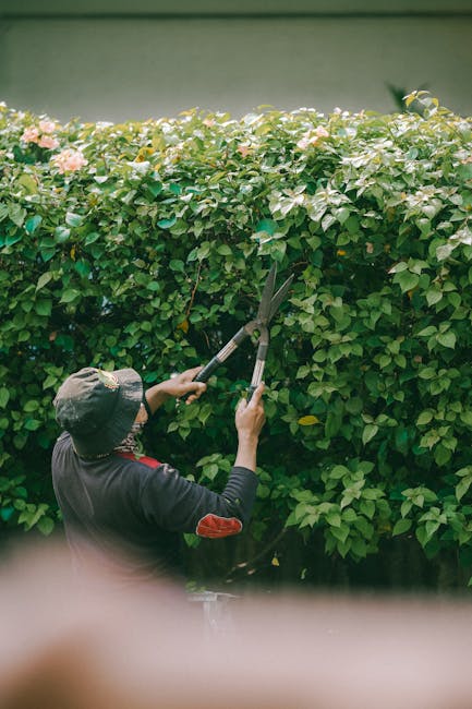 A person in a bright green jacket, black trousers, and wearing red ear protection is using a leaf blower to clear grass and fallen leaves under a large, mature tree with textured, moss-covered branche